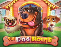 The Dog House The Dog House